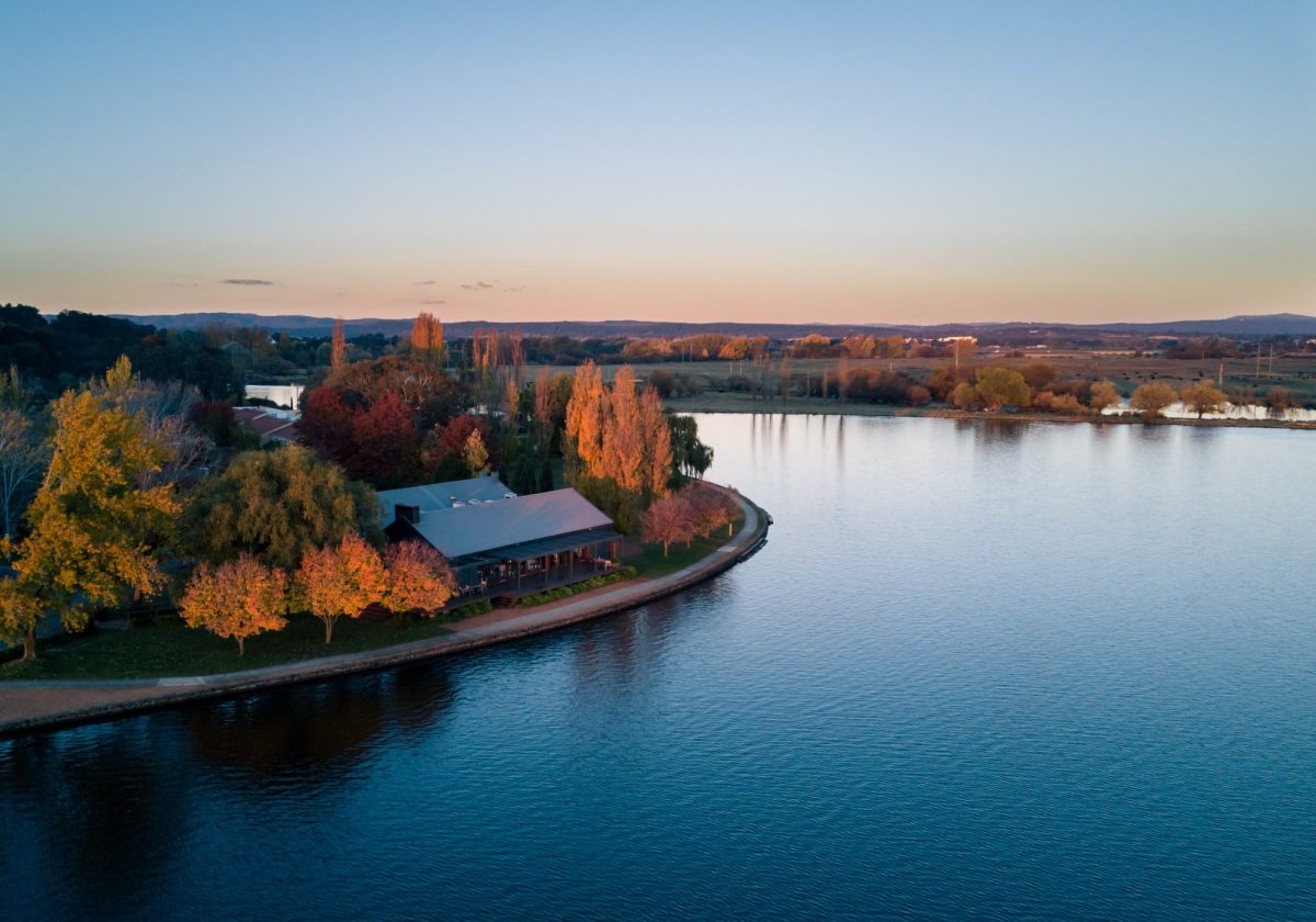 DJI_0973